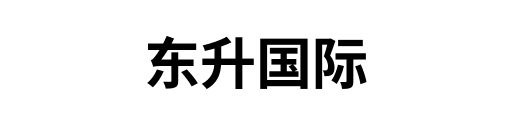 东升国际